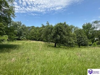 2A Rogersville Rd, Radcliff, KY 40160