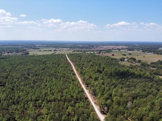 2896P06 County Road 2626, Wells, TX 75976