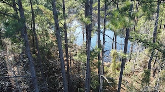 TBD Alligator Rd Near Boxcar Ln, Moncks Corner, SC 29434