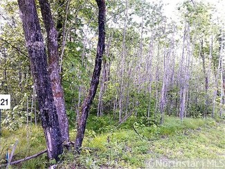 Lot 21 Evening Star Ln, Emily, MN 56447
