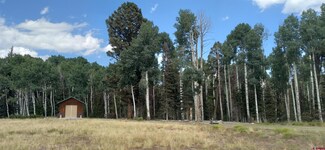 485 Aspen Dr, Cimarron, CO 81220