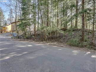 64680 E Sandy River Ln, Rhododendron, OR 97049