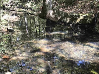 96 acres Powell Hollow Rd, Williford, AR 72482