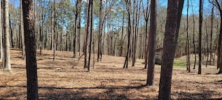 Lot3 Triple C Dr, Clarksville, VA 23927