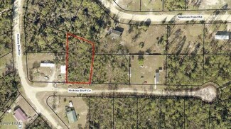 405 Hickory Bluff Cir, Southport, FL 32409