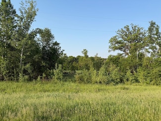 TBD E 6th St, Randall, MN 56475