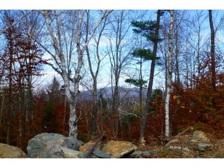 Lot 2 Alzac Ln, Wardsboro, VT 05360