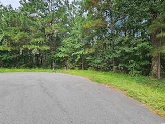 8340 Bucksport Heights Ct, Conway, SC 29527