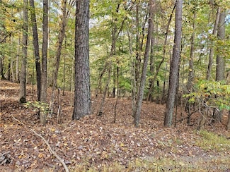 0 Sandy Creek Church Rd, Sanford, NC 27330