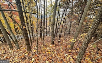 LOT 24B Grandview Dr, Hayesville, NC 28904