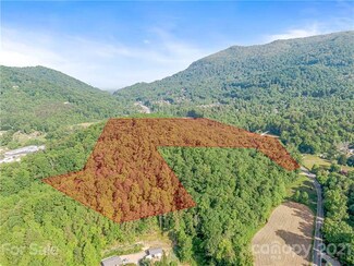 49 Reeds Creek Rd, Fairview, NC 28730