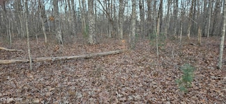 0 Crestview Loop, Crossville, TN 38571