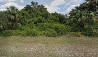 0 Bucknell Rd, Labelle, FL 33935