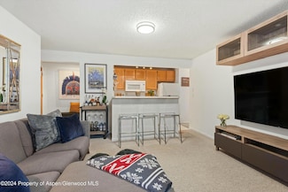 119 E Cooper Ave Unit 5, Aspen, CO 81611