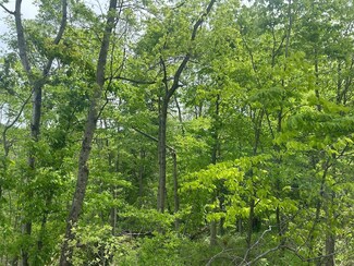 67655 Geese Rd, Cambridge, OH 43725