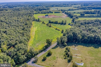 Lot 1 Maddens Tavern Rd, Stevensburg, VA 22741