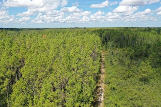 0 Bat Rd Unit 16494875, Perry, FL 32347