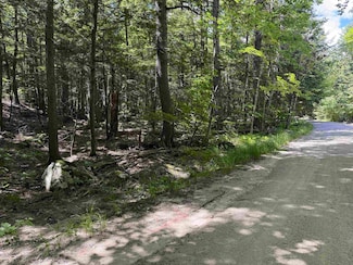 52 Appenvel Way, Madison, NH 03849