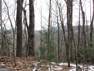 0 Evans Creek Rd Unit 10504625, Scaly Mountain, NC 28775
