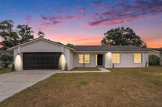 3707 Orangepointe Rd, Valrico, FL 33596