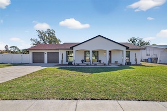 13933 Cherry Creek Dr, Tampa, FL 33618