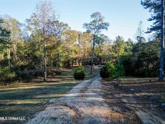 54 New Saint Paul Church Dr, Waynesboro, MS 39367