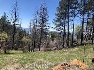 6847 High Valley Rd, Lucerne, CA 95458