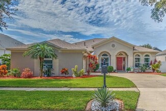 4303 Orange Ridge Ct, Valrico, FL 33596