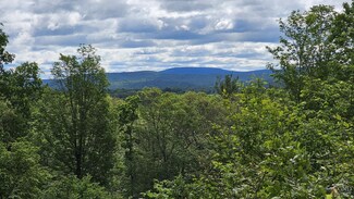 0 Ronadale Rd, Taghkanic, NY 12521