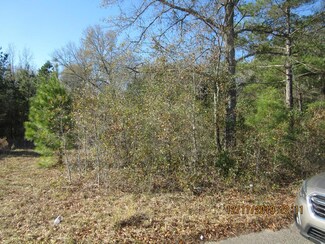 .26 AC Roosevelt St, Elloree, SC 29047