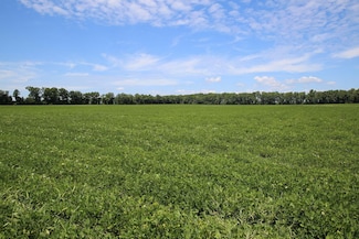 Ross Rd, Robersonville, NC 27871