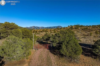 TBD Mcdonnell Dr, Texas Creek, CO 81223