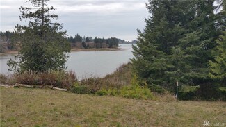 0 Cedar Ln Unit 1568941, South Bend, WA 98586