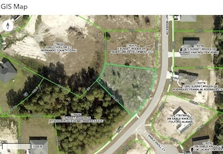 12635 Sunset Woods Dr, Spring Hill, FL 34609