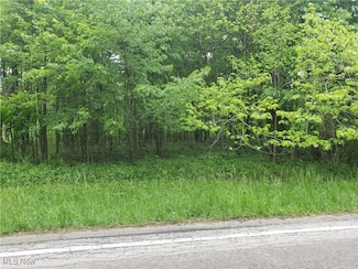 0 West Rd Unit 5125531, Penfield, OH 44090