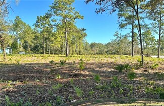 0 Apricot Ave Unit MFRO6185649, Eustis, FL 32736