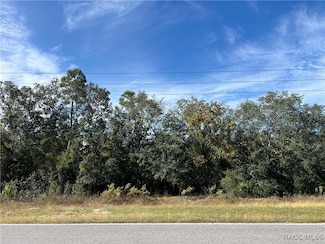 1638 S Rock Crusher Rd, Homosassa Springs, FL 34448