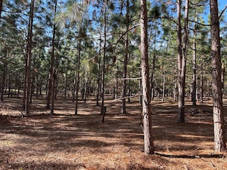 Lot 5, 3+-ac County Road 18, Headland, AL 36345