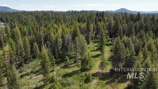 TBD Old Avon Rd, Deary, ID 83823