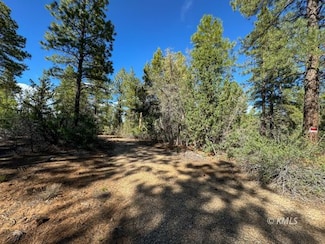 11630 W Cedar Dr, Orderville, UT 84758