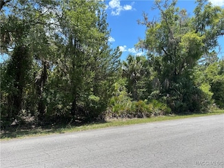 10293 N Coco Plumosa Dr, Crystal River, FL 34428