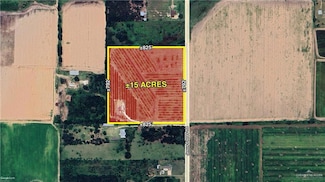 26845 Jesus Flores Rd, Monte Alto, TX 78538