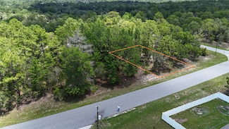 1971 W G Martinelli Blvd, Dunnellon, FL 34434