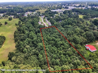 0 Coatsberry Village Ct Unit 10120559, Coats, NC 27521