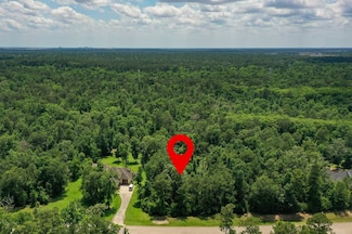 27414 Shady Hills Landing Ln, Spring, TX 77386