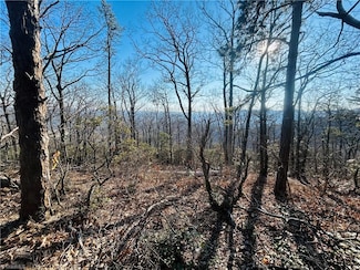 TBD Reflection Point Trail, Fancy Gap, VA 24328