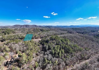0.0 Murphy Hwy, Mineral Bluff, GA 30559