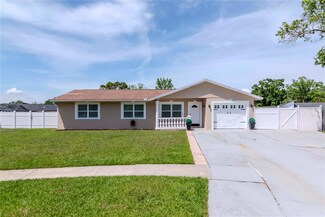 10705 Knollsway Ct, Tampa, FL 33625