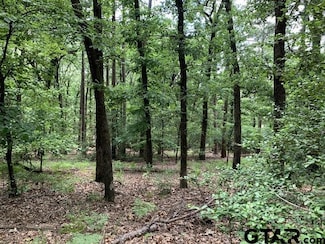 300301 Misty Glen, Holly Lake Ranch, TX 75765
