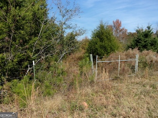 0 River Rd Unit 10639917, Carlton, GA 30627